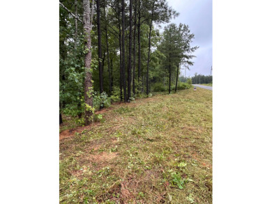 Lot 50 Shoreside at SipseyBuy now build later!.62 acres with 135 - photo 7
