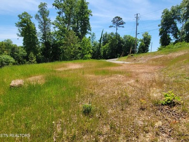 Hickory Pointe on Norris Lake. Unobstructed Lake and Mountain - photo 6