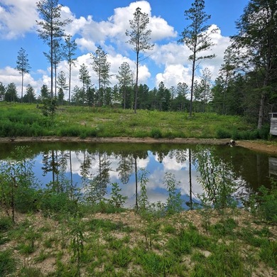 (private lake, pond, creek) Acreage For Sale in Sunbright Tennessee