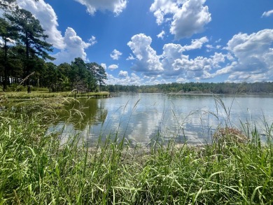 (private lake, pond, coastal) Acreage For Sale in Union Springs Alabama