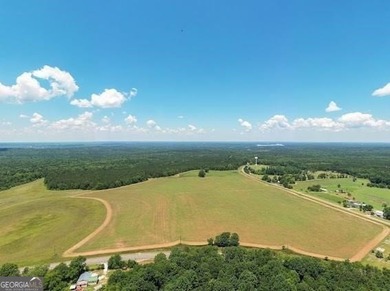 (private lake, pond, coastal) Acreage For Sale in Milledgeville Georgia