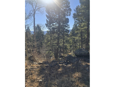Incredible opportunity in Angel Fire! Build your dream home on - photo 11