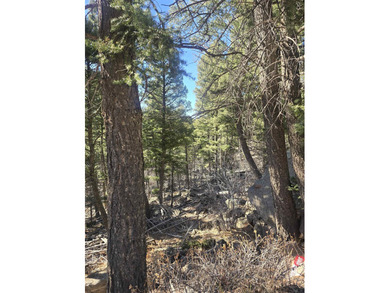 Incredible opportunity in Angel Fire! Build your dream home on - photo 12
