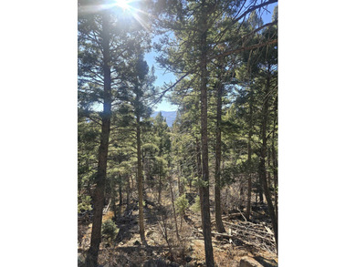 Incredible opportunity in Angel Fire! Build your dream home on - photo 13