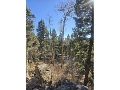 Incredible opportunity in Angel Fire! Build your dream home on - photo 14