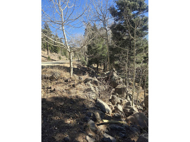 Incredible opportunity in Angel Fire! Build your dream home on - photo 16