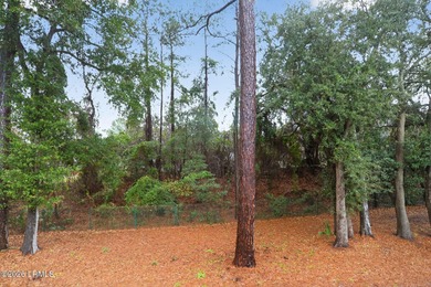 Located in the gated Plantation Point community, this - photo 21