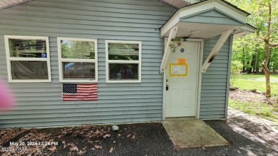 Lake Home For Sale in Shohola, Pennsylvania