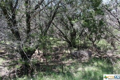 Lake Lot For Sale in Belton, Texas