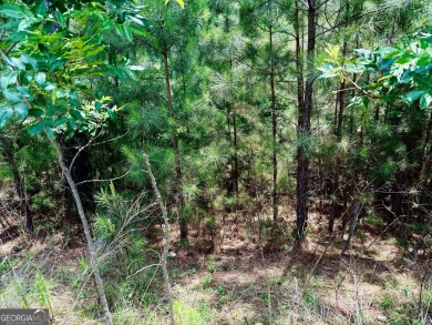 Lake Acreage For Sale in Blairsville, Georgia