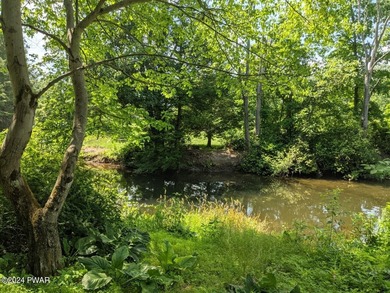 (private lake, pond, creek) Acreage For Sale in Kunkletown Pennsylvania