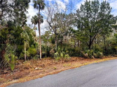 Homosassa River Lot For Sale in Homosassa Florida