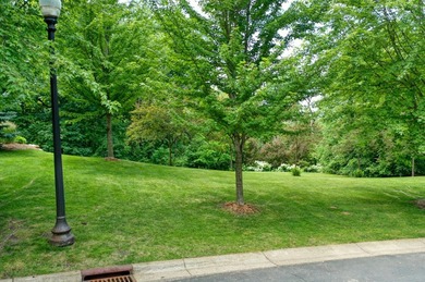 **OPEN BUILDER:** WOODED WALKOUT LAKEVIEW LOT in Forest Hills - photo 13