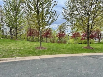 **OPEN BUILDER:** WOODED WALKOUT LAKEVIEW LOT in Forest Hills - photo 15