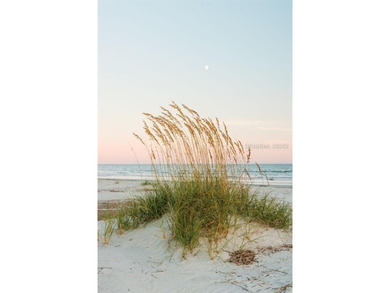 There is truly no place like Fripp Island! One of the last Marsh - photo 27