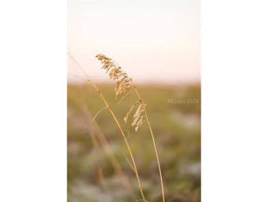 There is truly no place like Fripp Island! One of the last Marsh - photo 28