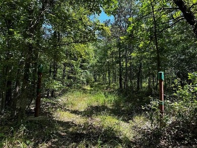 Lake Hudson Acreage For Sale in Salina Oklahoma