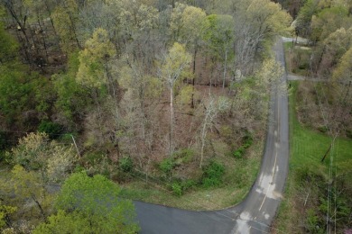 Lake Lot SOLD! in Lake Waynoka, Ohio