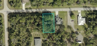 Lehigh Acres Area Lot For Sale in Lehigh Acres Florida
