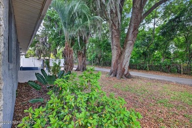 A Little Piece of Old Florida Charm, tucked beneath a canopy of - photo 5