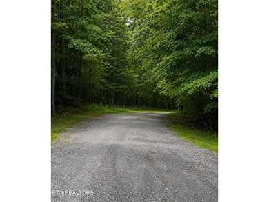 Welcome to 18 Golden Circle in Crossville, TN--a beautiful - photo 1