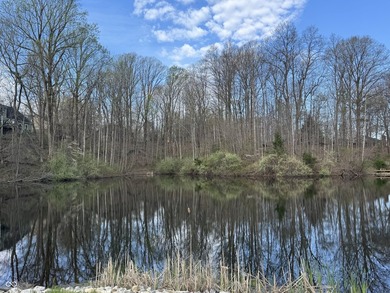 Stop Searching-Start Building! This spacious, waterfront lot - photo 33