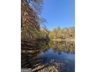 Lake Acreage For Sale in Whitesburg, Georgia