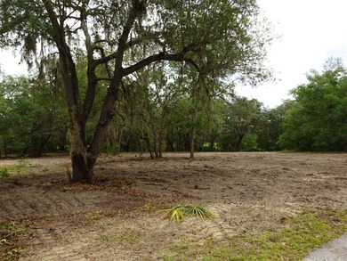 Build Your Florida Dream Home with Lake views! Nestled in the - photo 1