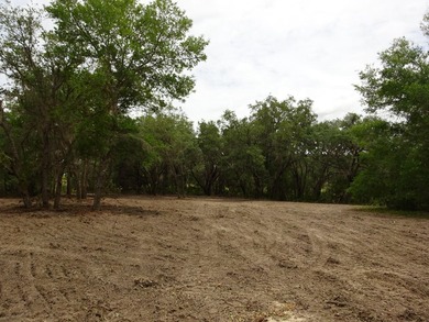 Build Your Florida Dream Home with Lake views! Nestled in the - photo 6