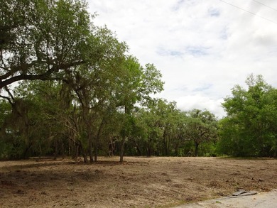 Build Your Florida Dream Home with Lake views! Nestled in the - photo 7