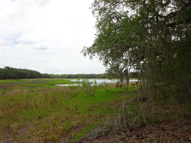 Build Your Florida Dream Home with Lake views! Nestled in the - photo 9