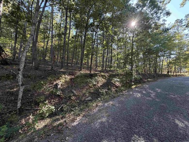 Lake Coronado Lot For Sale in Hot Springs Village Arkansas