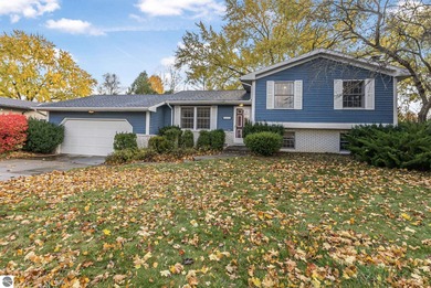 Lake Shamrock Home For Sale in Clare Michigan