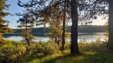 Lake Acreage For Sale in Cascade, Idaho