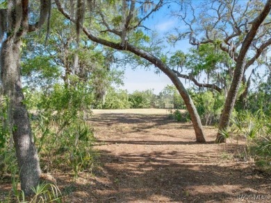 Saint Martins River Lot For Sale in Crystal River Florida