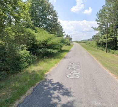 Lake Lot For Sale in Haleyville, Alabama