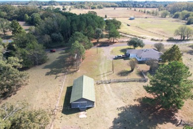 HOME ON 20+ ACRES WITH BARN & POLE BARN IN QUITMAN TX - photo 3