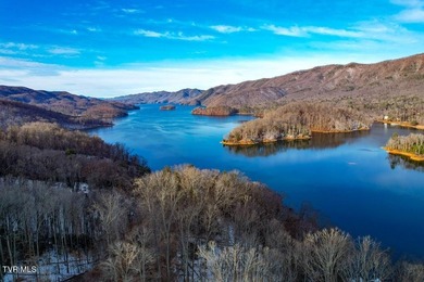 Beautiful lake property overlooking Watauga Lake. If you like - photo 11
