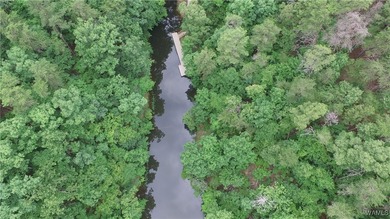Imagine building your dream home in a beautiful wooded setting - photo 11