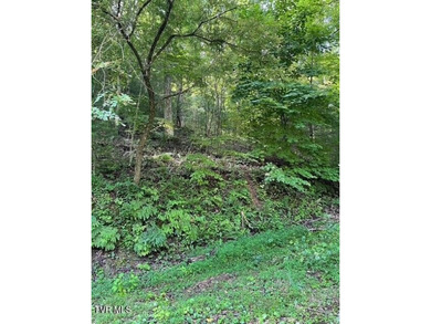 Beautiful lake property overlooking Watauga Lake. If you like - photo 18