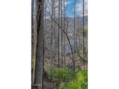 Beautiful lake property overlooking Watauga Lake. If you like - photo 21