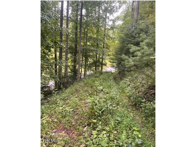 Beautiful lake property overlooking Watauga Lake. If you like - photo 24