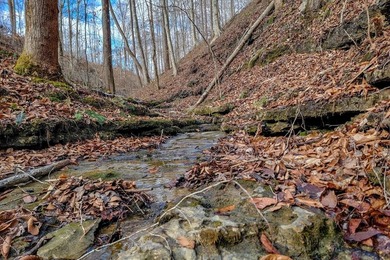 Caney Fork River - White County Acreage For Sale in Sparta Tennessee