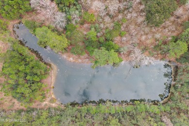 +/-14.7 acres with a pond on a private dead end road! Mostly - photo 3