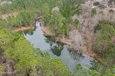 +/-14.7 acres with a pond on a private dead end road! Mostly - photo 5