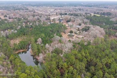 +/-14.7 acres with a pond on a private dead end road! Mostly - photo 7
