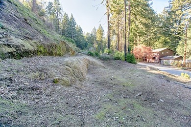 With Plans in hand, this one is ready to build! Build your - photo 4