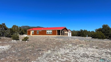 Lake Home For Sale in Quemado, New Mexico