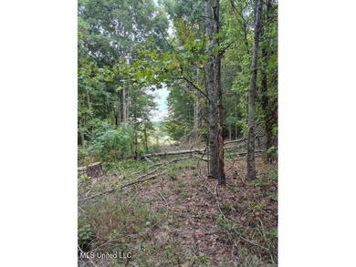 Beautiful 3-acre lake front lot located in the Lake Wood Hills - photo 3