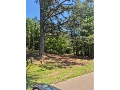 Beautiful 3-acre lake front lot located in the Lake Wood Hills - photo 4